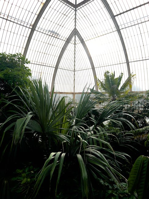 Inside a large conservatory or greenhouse with a high, curved, glass roof structure supported by metal framework, there are various lush green plants, including large leafy tropical varieties, positioned on the floor and near the windows. The plants appear healthy and are likely part of a house or botanical garden setting, with some in pots. The lighting is natural, filtered through the glass, creating a bright environment suitable for plant growth. In the context of home relocation or furniture transport, this image could represent a part of a property being prepared or cleared during a move, with the plants temporarily inside the space. Man and Van North Sheen provides professional removals, including packing and loading processes that might involve relocating such indoor garden features.